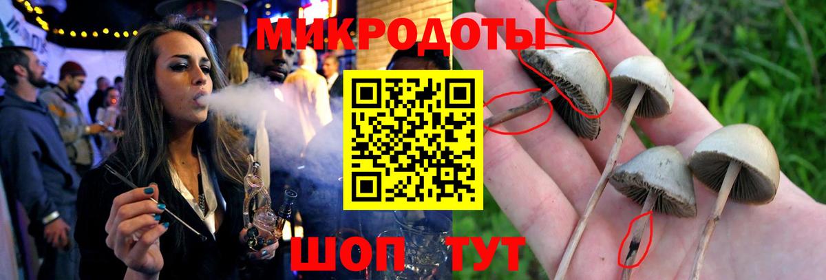 Галлюциногенные грибы Magic Shrooms  Галлюциногенные грибы Psilocybe  Уфа  Вход с VPN 